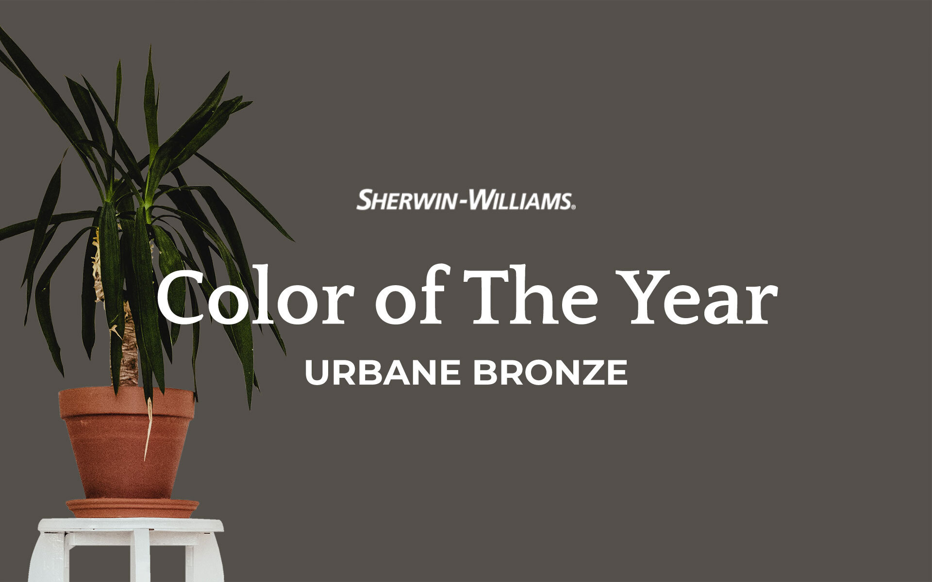 Color of the Year!