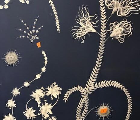 atelier_hester_painting_decorating_ (1)