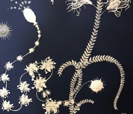 atelier_hester_painting_decorating_ (2)