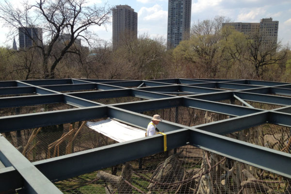 lincoln_zoo_hester_painting_decorating_ (2)