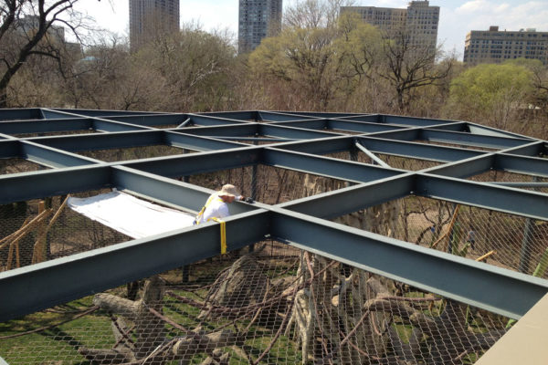 lincoln_zoo_hester_painting_decorating_ (4)