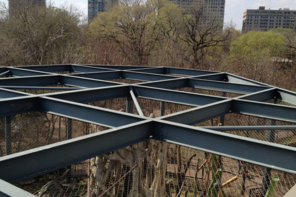 lincoln_zoo_hester_painting_decorating_ (6)