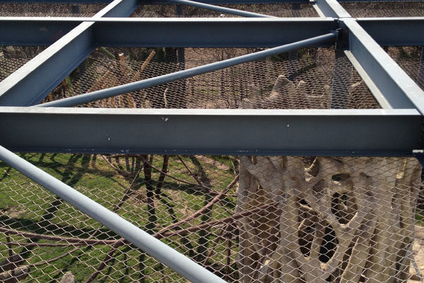 lincoln_zoo_hester_painting_decorating_ (7)