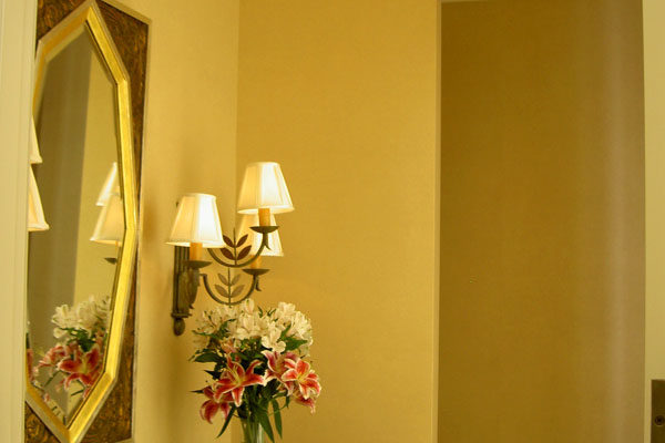 residence_hester_painting_decorating (24)