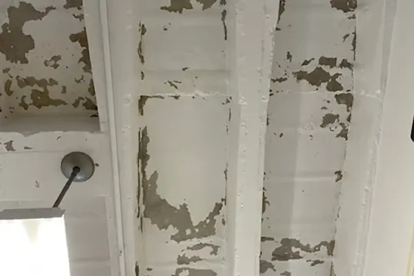 HPD High Bay Ceiling Paint Restoration 2